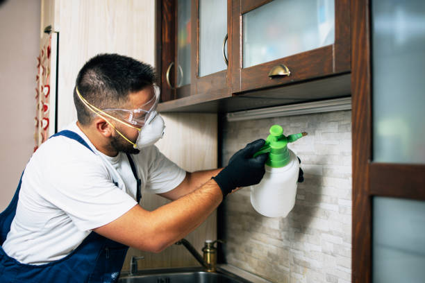 Best Best Pest Control Near Me  in Vista, CA