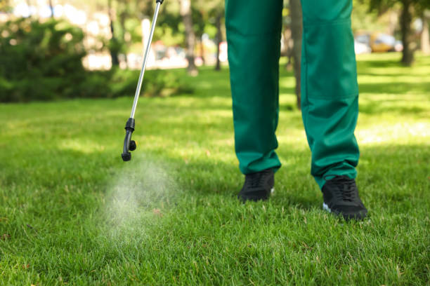 Professional Pest Control in Vista, CA