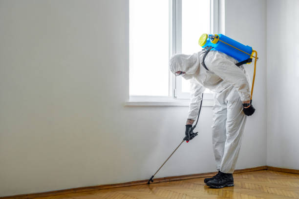Best Pest Control Near Me  in Vista, CA