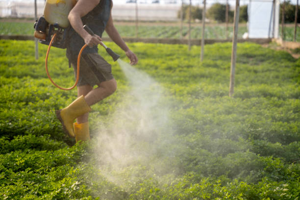 Best Best Pest Control Companies  in Vista, CA