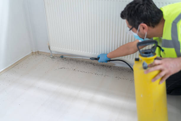 Best Commercial Pest Control Services  in Vista, CA