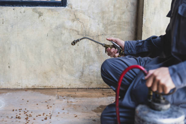 Best Pest Inspection Near Me  in Vista, CA